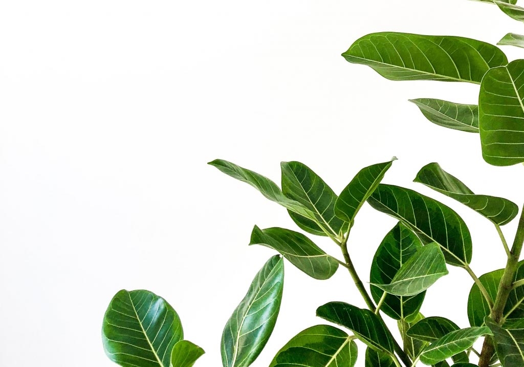 ΥΠΗΡΕΣΙΕΣ ΕΞΟΙΚΟΝΟΜΩ